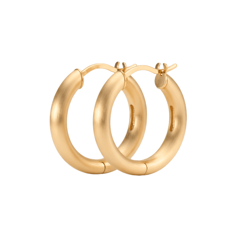 Oorbellen premium goud